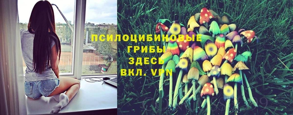 MDMA Premium VHQ Каменск-Шахтинский