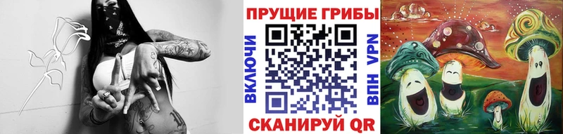 Псилоцибиновые грибы мицелий  Мегион 