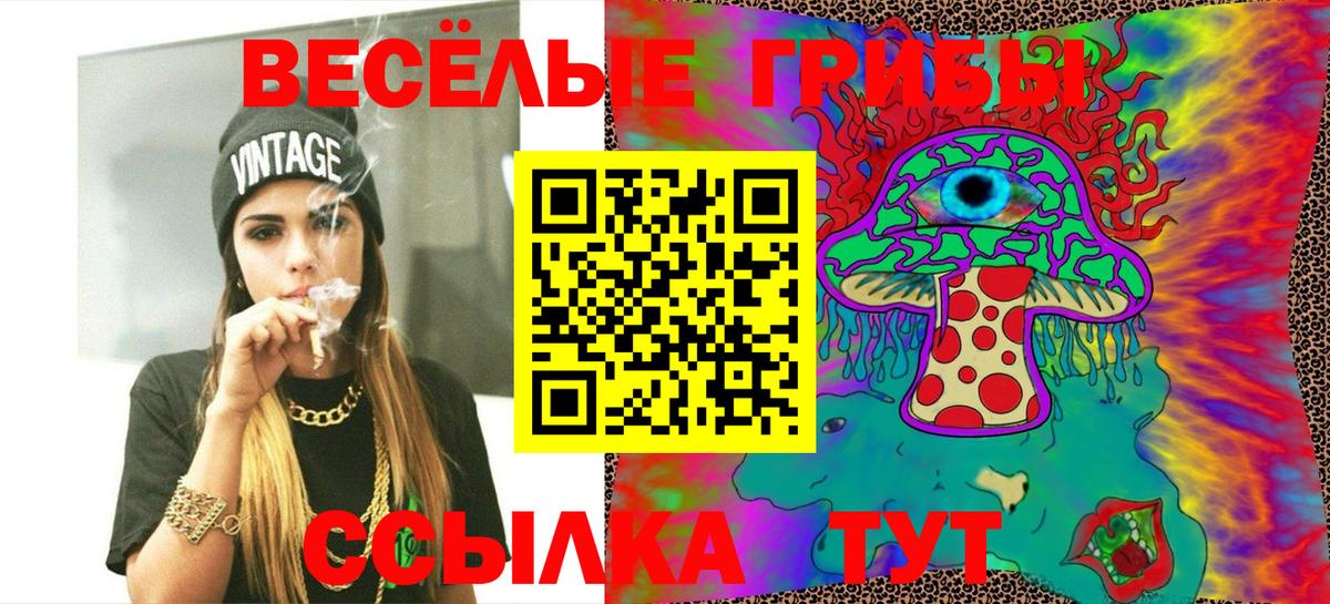 дарнет шоп  Галлюциногенные грибы ЛСД  Мегион  Вход с VPN  Псилоцибиновые грибы Psilocybine cubensis 